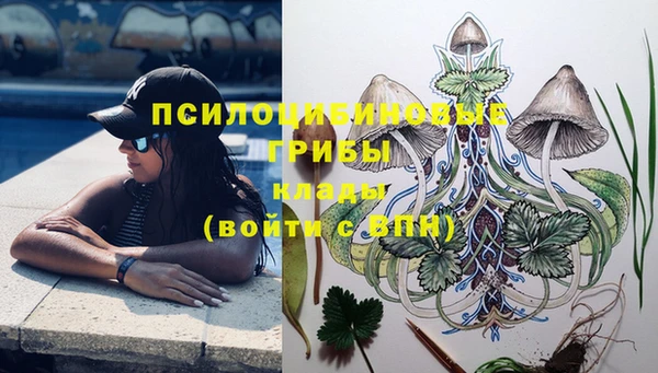 ECSTASY Белоозёрский