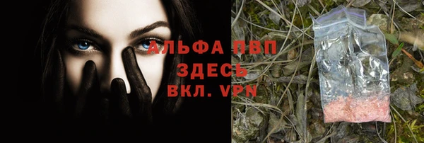 ECSTASY Белоозёрский