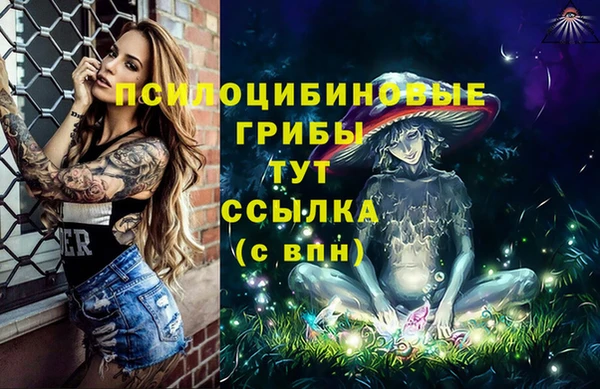 трава Белокуриха