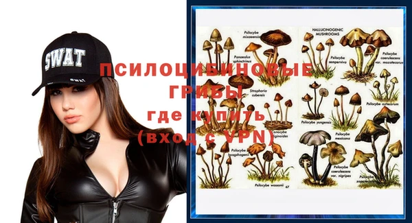 ECSTASY Белоозёрский
