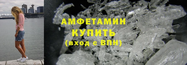 трава Белокуриха