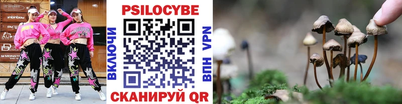 Псилоцибиновые грибы ЛСД  Михайлов 